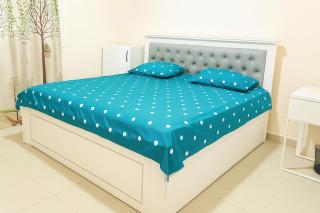 SPACIOUS 2 BEDROOM HALL APARTMENT IN SHARJAH DUBAI BORDER BY MAUON TOURISM - 5