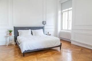 Spacious APT by Wenceslas Square & National Museum - 1