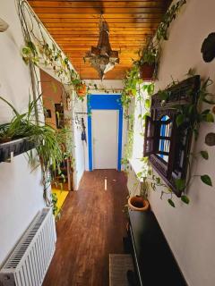 Perfect Budget Stay in Vienna With Great Accessibility - 3