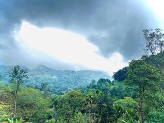 why not guest house ella - 9