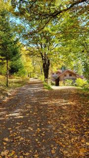 Sunleitn Ferienhäuser am Waldrand - 1