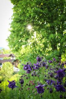 HäuslmaierS Urlaubswohnung - 3