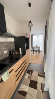 Modern 2 Room Apartment with Balcony in Dresden - 7