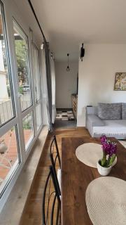 Modern 2 Room Apartment with Balcony in Dresden - 8