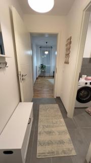 Modern 2 Room Apartment with Balcony in Dresden - 6