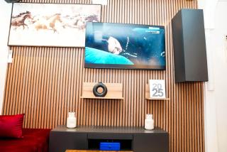 Luxurious Panthouse - 6