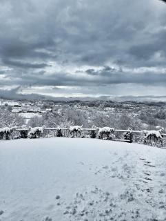 Stablo guest house - 5