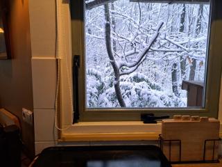 Woeste Hoogte - Groesbeek - 4