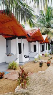 Econest arugambay - 4