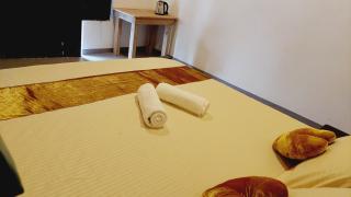 Econest arugambay - 1