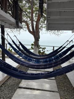 Accommodation on a coral island with turquoise sea - 6