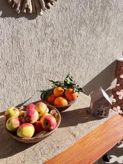 La Rosa di Tempalta - Roccadaspide - 8