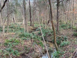 Relax in an upscale, renovated gem - 8