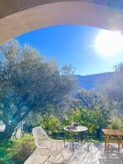 La Rosa di Tempalta - Roccadaspide - 7