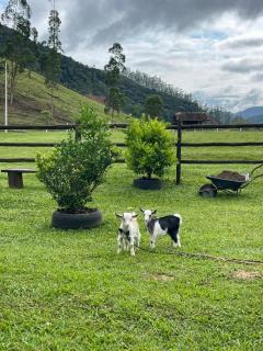 Sitio encantos do vale - 7