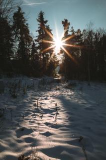 Wood Lake Rożnów - 2
