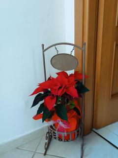 Casa da Lucy-Monsummano Terme - 8