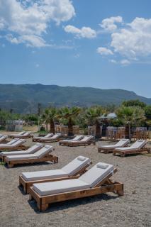 Odyssey Eco Farm Glamping - 0