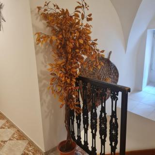 Penzion U Hejtmana - 4