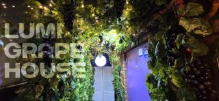 Lumi Grape House - 3