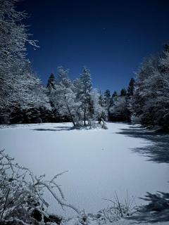 Chalet - gîte avec étang - 2