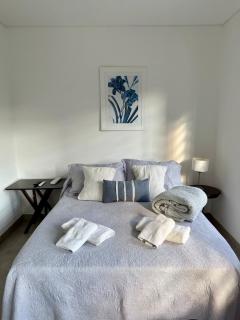 Del Valle Centro 1 - 6