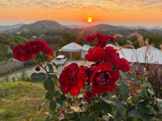 Mountain Home Kaokho เมาท์เท่นโฮม เขาค้อ - 5