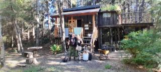 Pucón Magic forest - 8