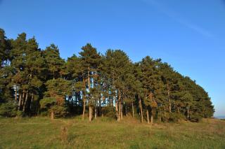 Rasarit de Soare - 5