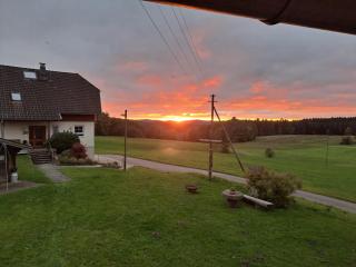 Erlebe Ruhe & Natur - idyllischer Schwarzwaldbauernhof - 5