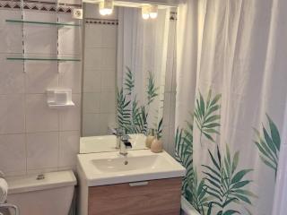 Studio Cabine au cœur des Angles, pratique avec espace nuit - FR-1-593-141 - 4