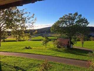 Erlebe Ruhe & Natur - idyllischer Schwarzwaldbauernhof - 7