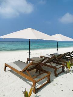 Palm Shade Paradise - 5