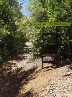 El Refugio Del Saltamontes Glamoroso - 7