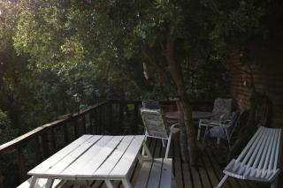 El Refugio Del Saltamontes Glamoroso - 5