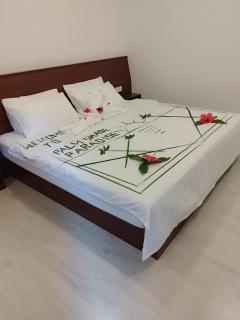 Palm Shade Paradise - 8