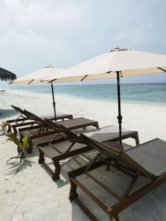 Palm Shade Paradise - 2