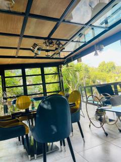 Twenty 4 on Basil - 2