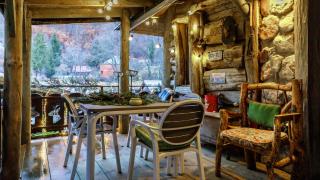 Chalet Mountain Deer - 8