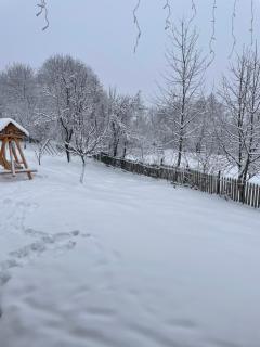 Cozy mountain house - 8