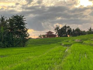 Cacao Bamboo House - 3