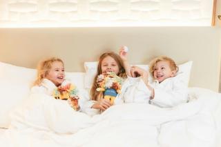 The Ritz-Carlton, Vienna - 8