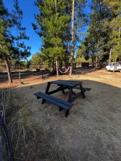 Domo Algarrobo 1 - 2