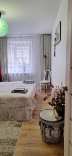 Šiauliai Central Vytauto Apartment - 8