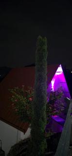 Cabaña La Esperanza - 2