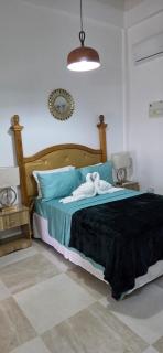 Martha's House Lexus - 0