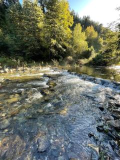 Private Tiny House near Conguillio - Quiet & Secluded - 6