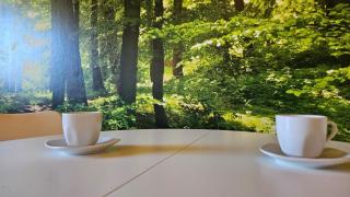 3611 HAUS HABRUCK Top 1 C - 0