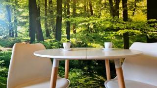 3611 HAUS HABRUCK Top 1 C - 6