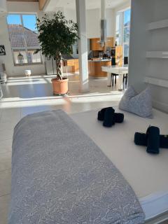 Luxus-Loft Atrium -X- - Rorbas - 5